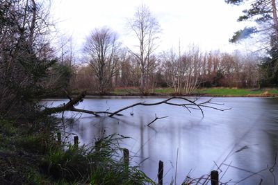 Scenic view of lake in forest against sky