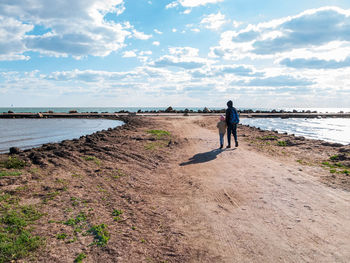 Rear view of man walking on beach against sky