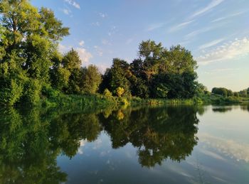 Reflection of green trees and evening sky on the surface of the lake