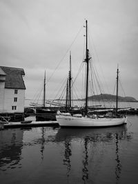 Sailboats in marina