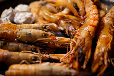 Close-up of prawns