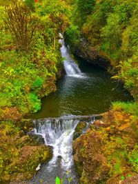Scenic view of waterfall in forest