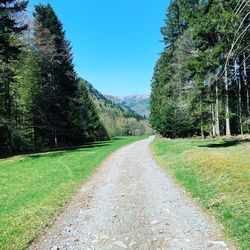 Road amidst trees on field against sky