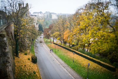 Road amidst trees during autumn