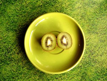 Directly above shot of kiwi in plate on grassy field