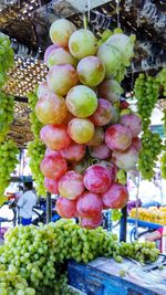 Fruits for sale at market stall