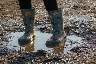 Low section of woman standing on puddle