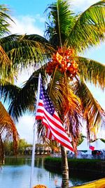 Low angle view of palm trees