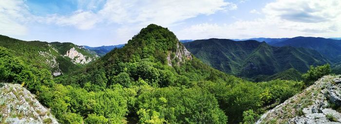 Panoramic view of trees and mountains against sky