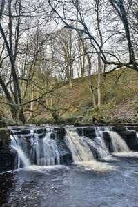 Scenic view of waterfall in forest