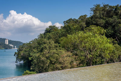 Plants by river against sky