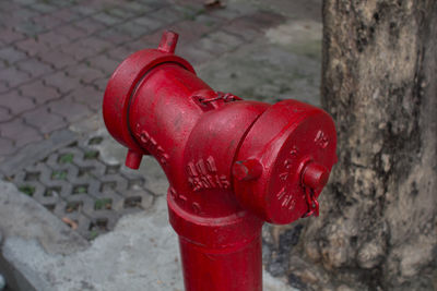 Close-up of red fire hydrant