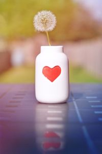 Close-up of dandelion in vase on table