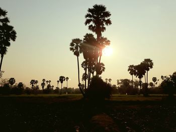 Silhouette trees on field against sky during sunset