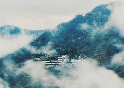 High angle view of trees on mountain against sky