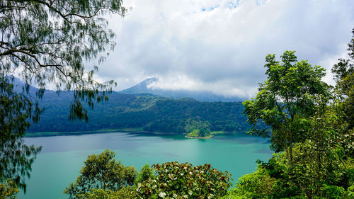 Scenic view of trees and mountains against sky