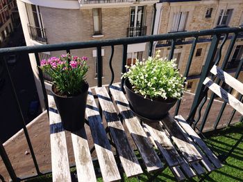 High angle view of potted plant by railing