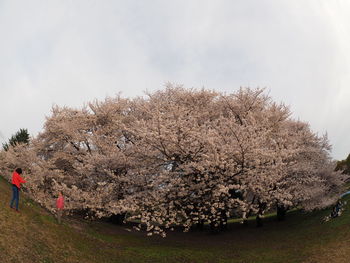 Scenic view of landscape against cloudy sky