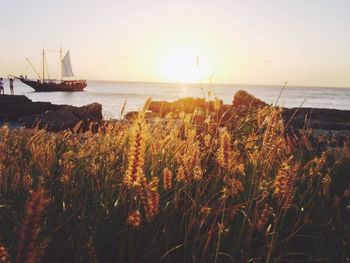 Scenic view of sea at sunset