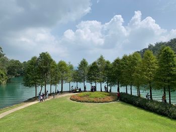 People in park by trees against sky