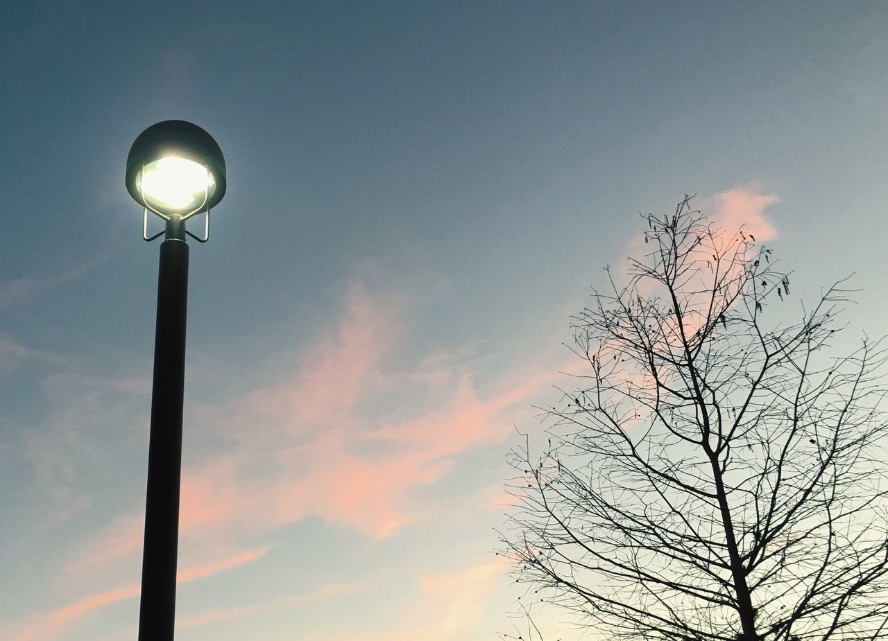 low angle view, street light, tree, sky, silhouette, lighting equipment, bare tree, tranquility, sunset, branch, nature, beauty in nature, dusk, scenics, sun, outdoors, lamp post, pole, blue, no people
