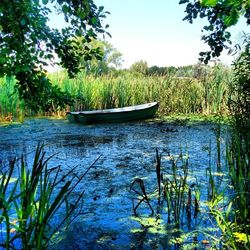 Scenic view of calm lake