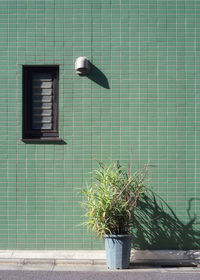 Flower pots on wall of building