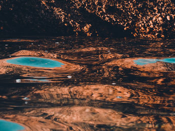 Reflection of trees in water