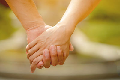 Close-up of hands holding leaf