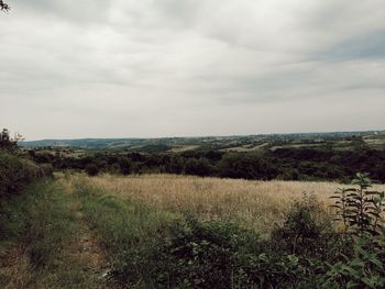 Scenic view of field against sky