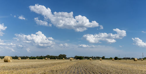 Hay bales on agricultural landscape against sky