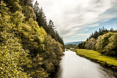 Scenic view of river amidst trees in forest against sky