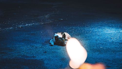 High angle view of woman on beach