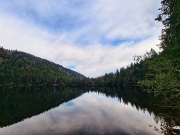 Scenic view of lake in forest against sky