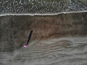 High angle view of person standing on shore at beach