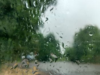 wet