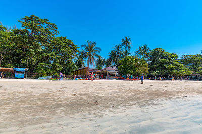 People on beach against clear blue sky