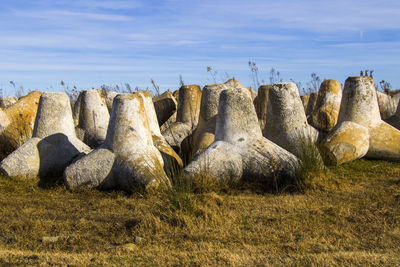 Rocks on field against sky