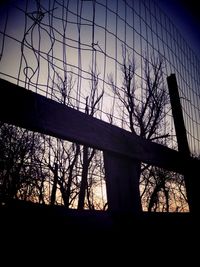 Low angle view of silhouette bare trees against sky