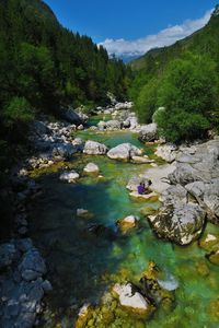 Scenic view of river by trees against sky
