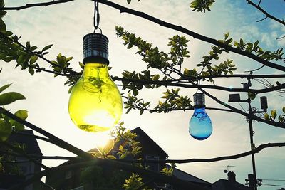 Low angle view of light bulb hanging on tree