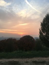 Trees on field against sky at sunset