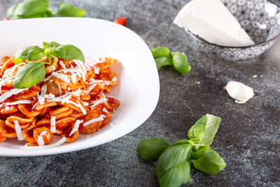 Orecchiette with fresh tomato sauce and basil. typical dish of italian cuisine. vegetarian food.