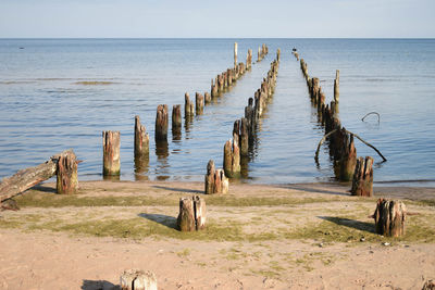 Wooden posts on beach against sky