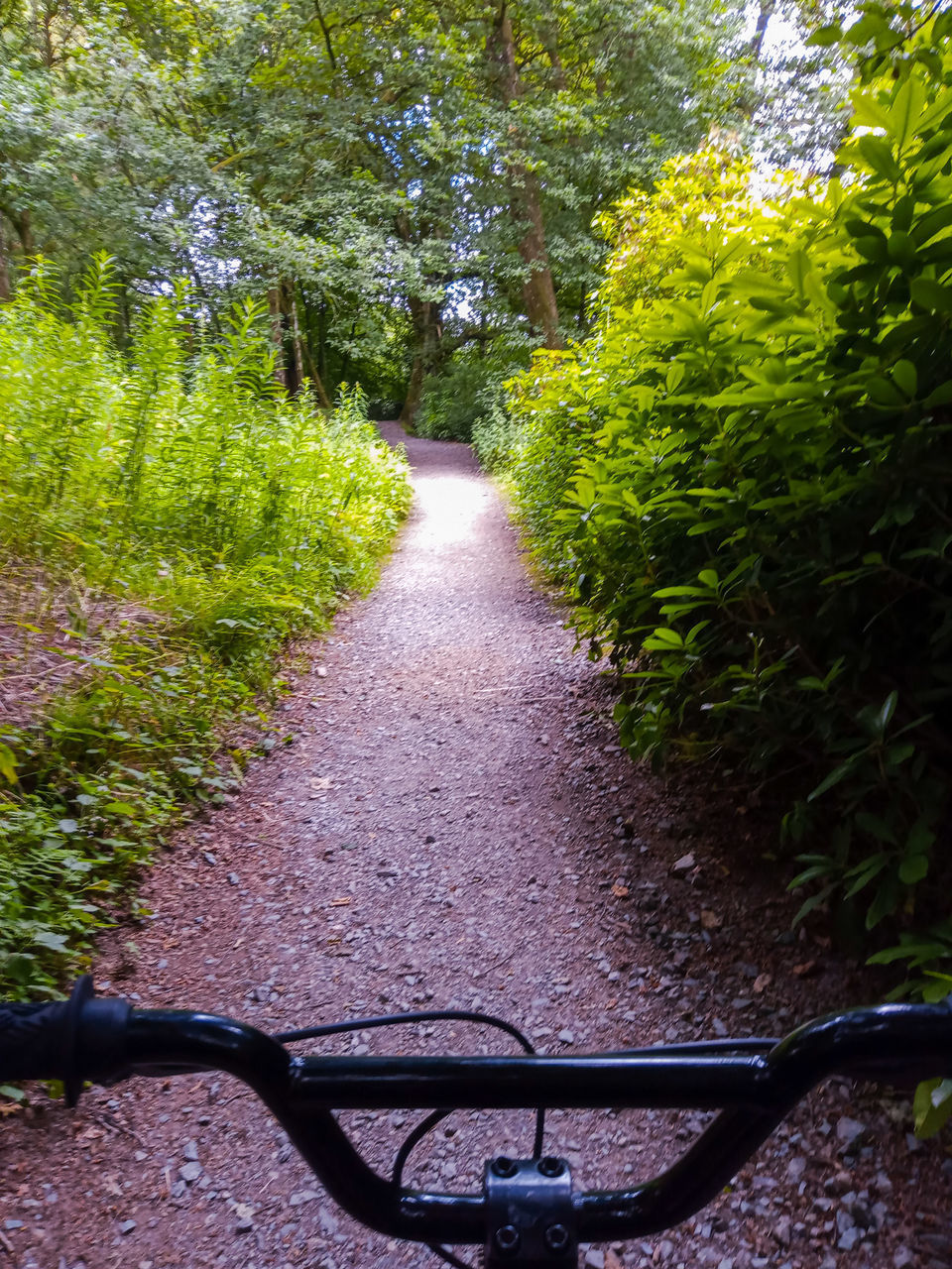 BICYCLE ON FOOTPATH AMIDST ROAD