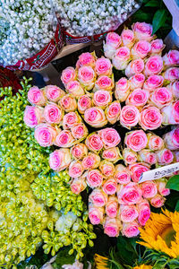 Full frame shot of colorful flowers