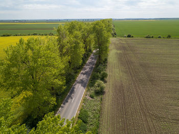 Scenic view of agricultural field