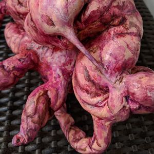 High angle view of carrots for sale in market