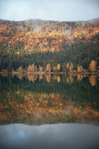 Lake fog and sunrise with autumn foliage and mountains in lake sfanta ana,romania,transylvania.