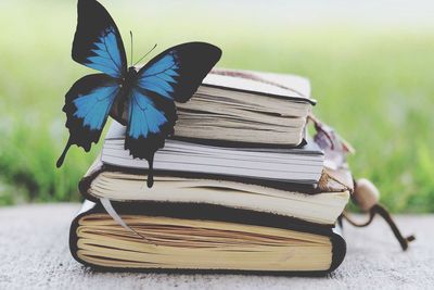 Close-up of butterfly on books